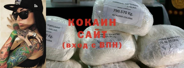 ГАЛЛЮЦИНОГЕННЫЕ ГРИБЫ Аркадак