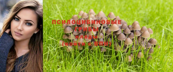 spice Балабаново